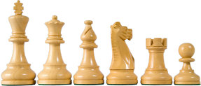 Castling: King (Chess), Rook (Chess), Promotion (Chess), Descriptive Chess  Notation, Rules of Chess, Glossary of Chess, Chess Notation, Portable Game  Notation : Miller, Frederic P, Vandome, Agnes F, McBrewster, John:  : Libros